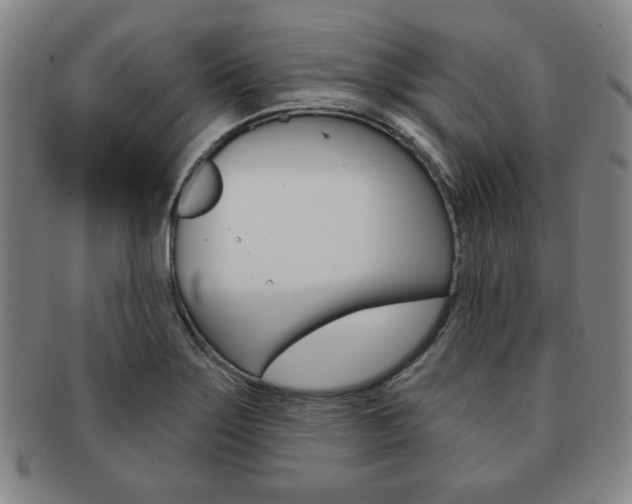 X0000091641275200708230940