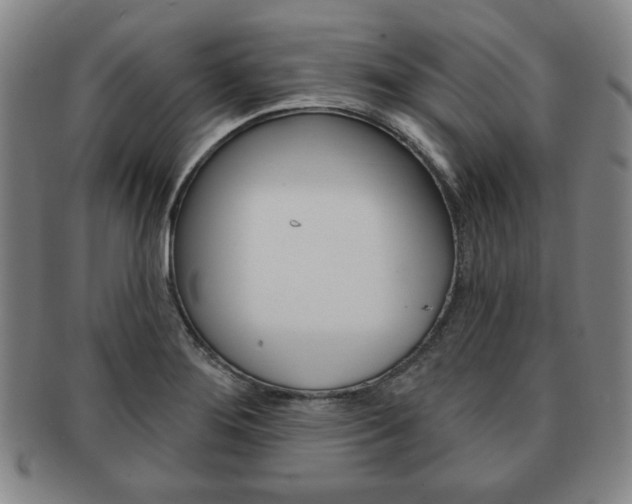 X0000091641276200708230940