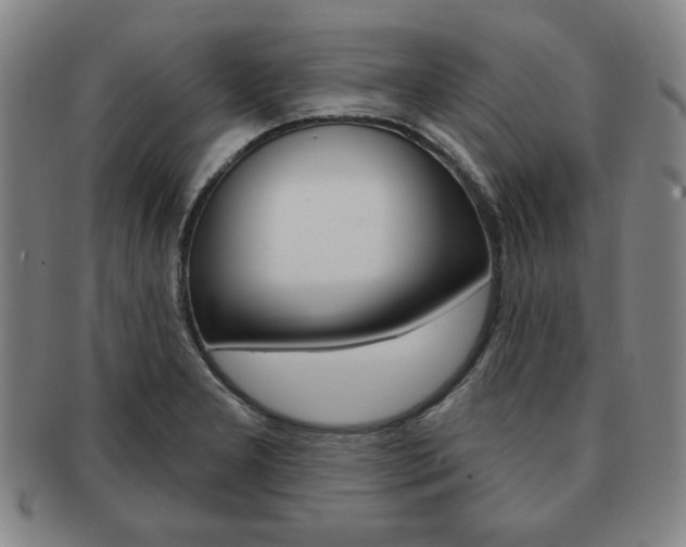 X0000091641277200708230940