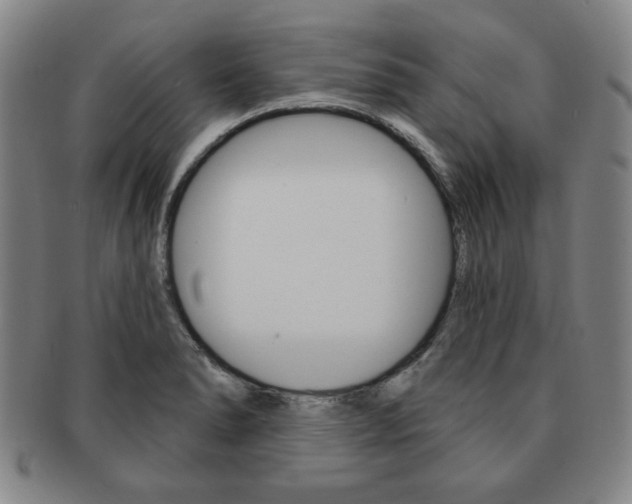 X0000091641278200708230940