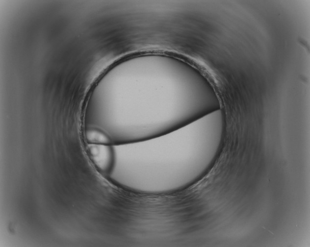 X0000091641279200708230940