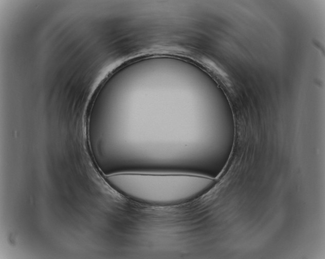 X0000091641280200708230940