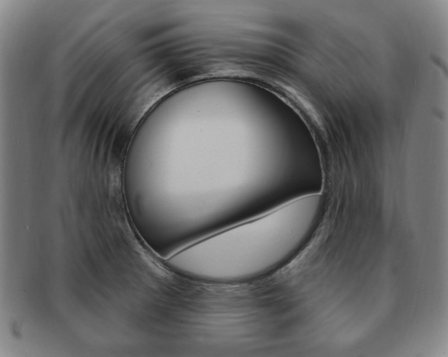 X0000091641281200708230940