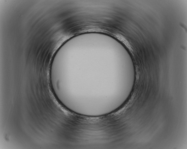 X0000091641282200708230940