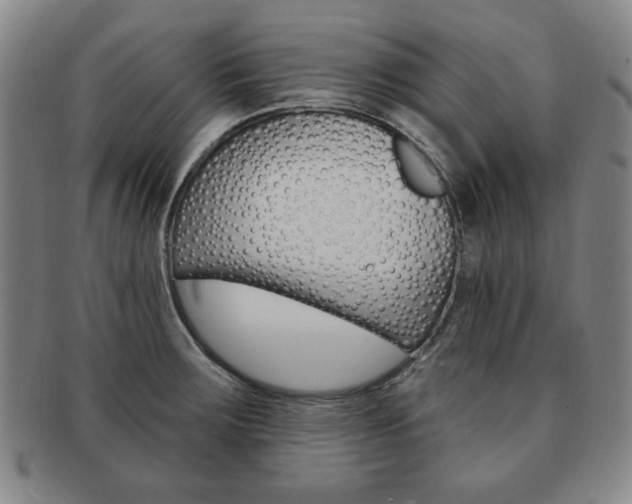 X0000091641283200708230940