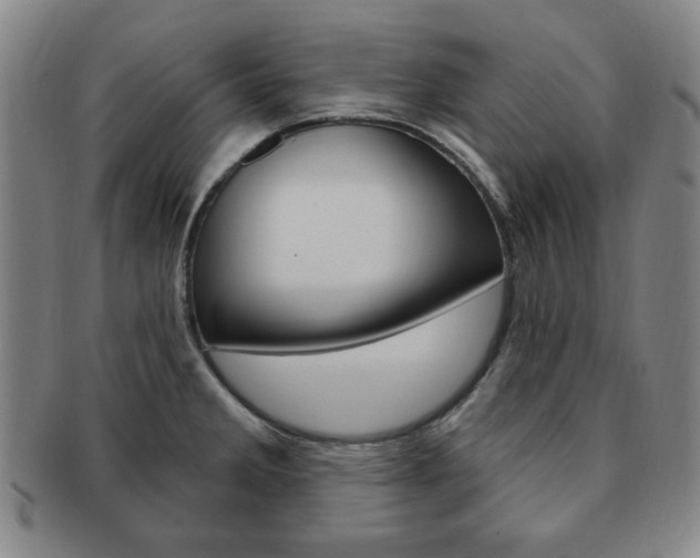 X0000091641285200708230940
