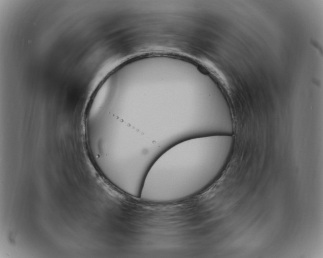 X0000091641287200708230940