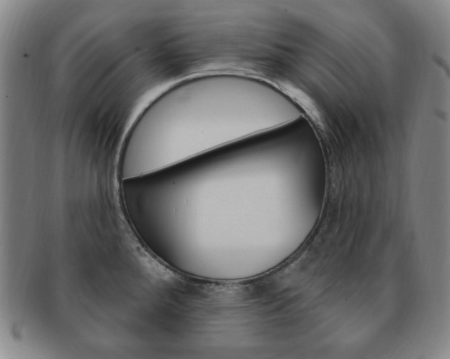 X0000091641288200708230940