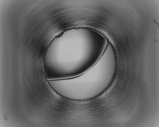 X0000091641289200708230940