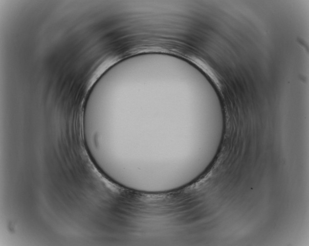 X0000091641290200708230940