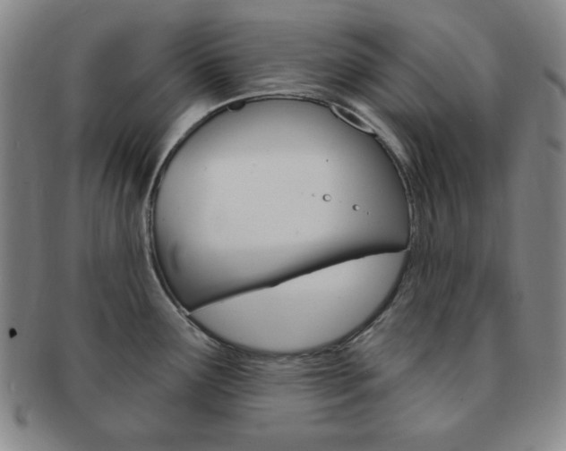 X0000091641291200708230940