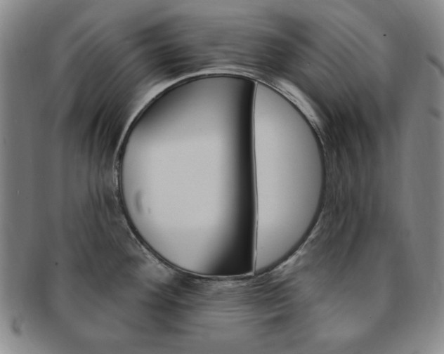 X0000091641292200708230940