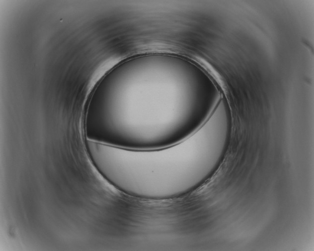 X0000091641293200708230940