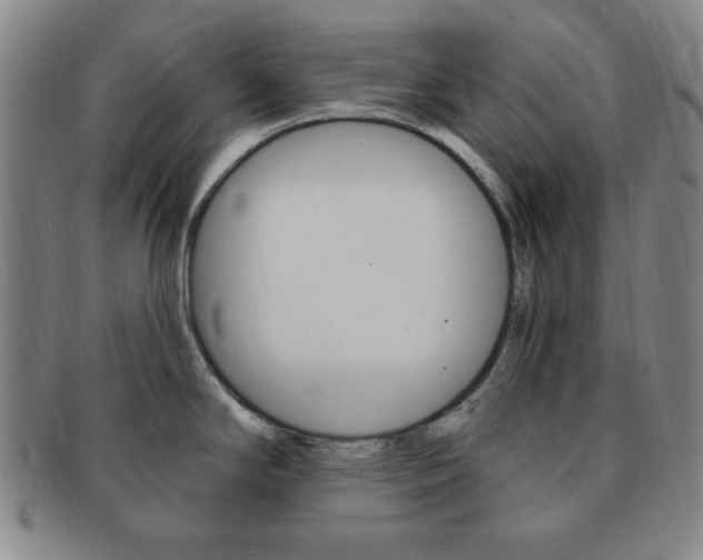 X0000091641294200708230940