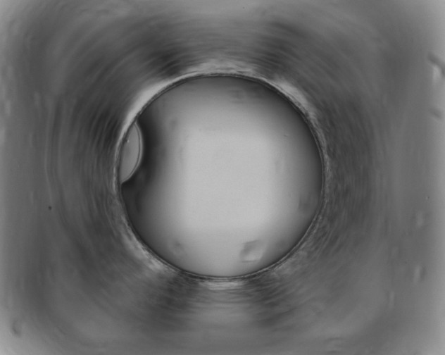 X0000091641296200708230940