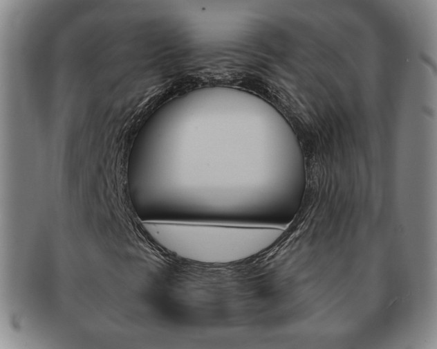 X0000091641297200708230939