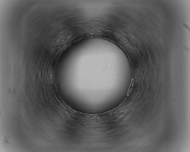 X0000091641298200708230939