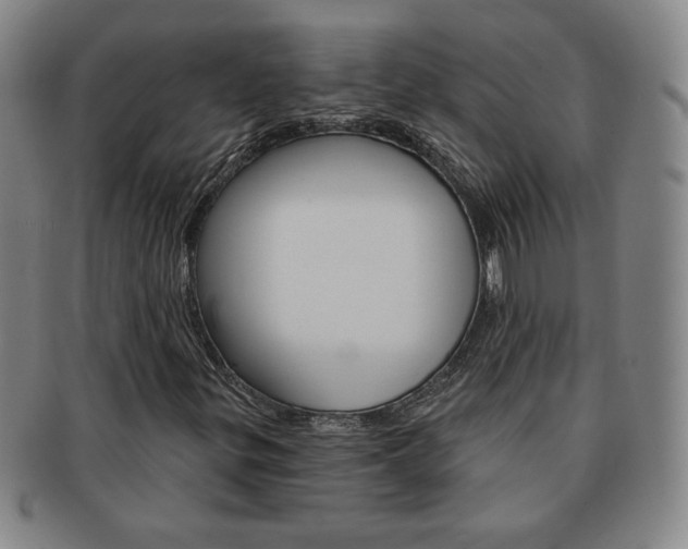 X0000091641299200708230939