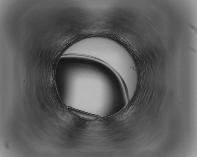 X0000091641300200708230939