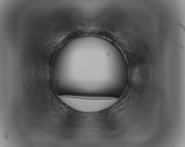 X0000091641301200708230939