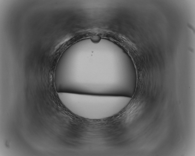 X0000091641302200708230939
