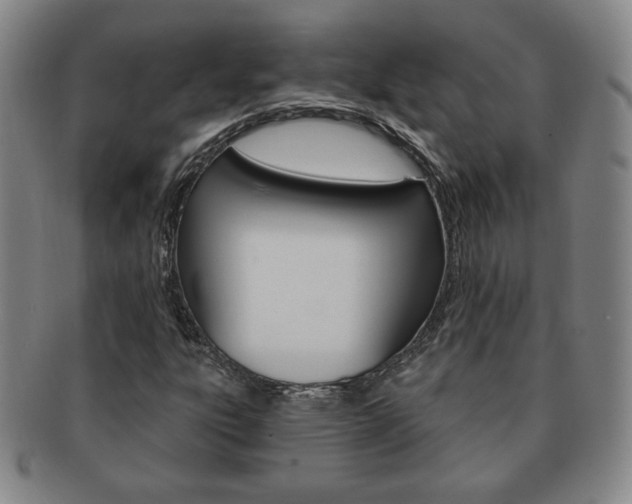 X0000091641303200708230939