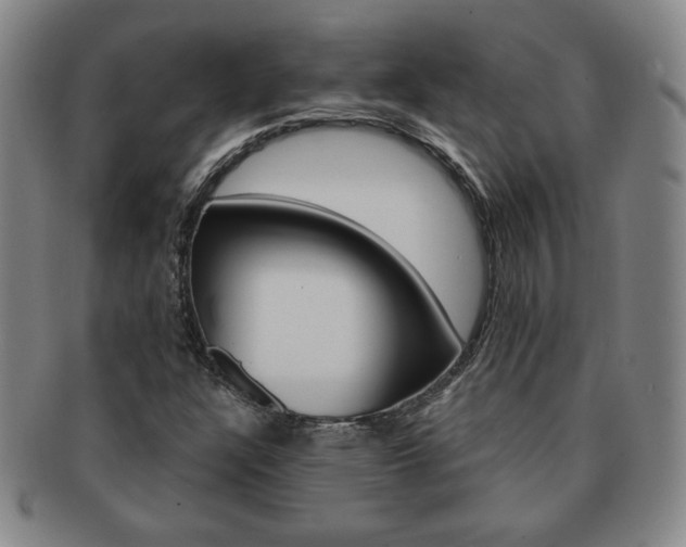 X0000091641304200708230939