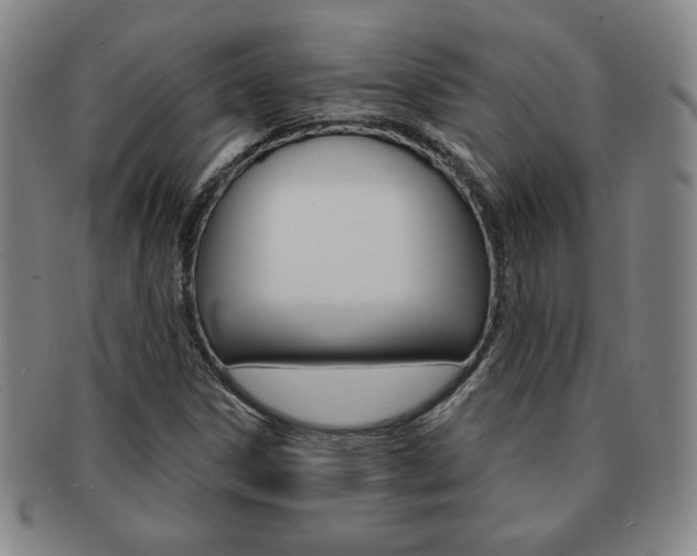 X0000091641306200708230939