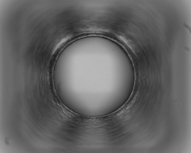 X0000091641307200708230939