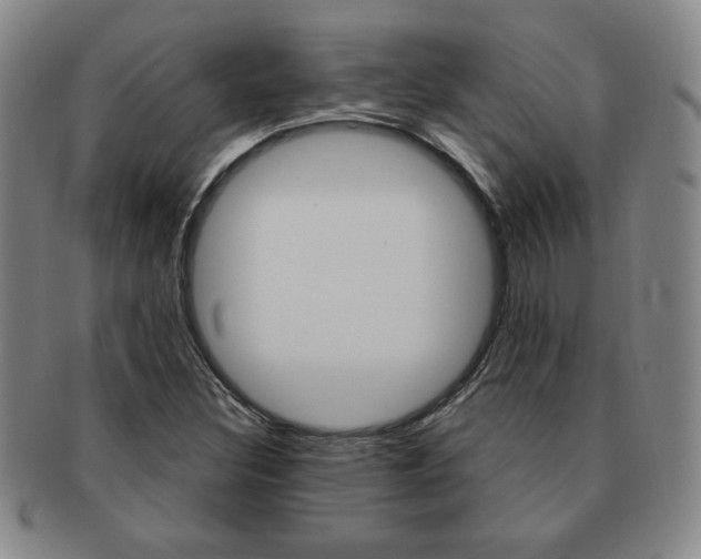 X0000091641308200708230939