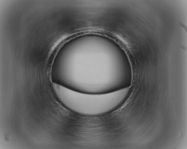 X0000091641310200708230939