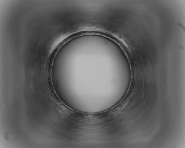 X0000091641311200708230939
