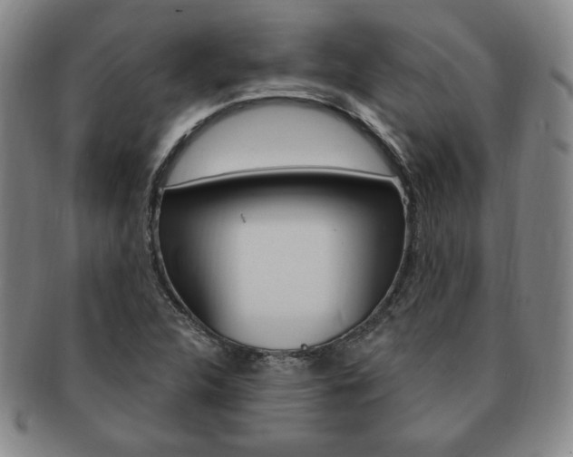 X0000091641312200708230939