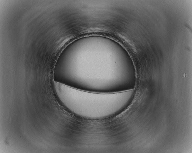 X0000091641313200708230939