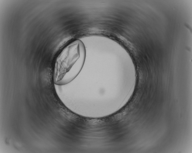 X0000091641314200708230939