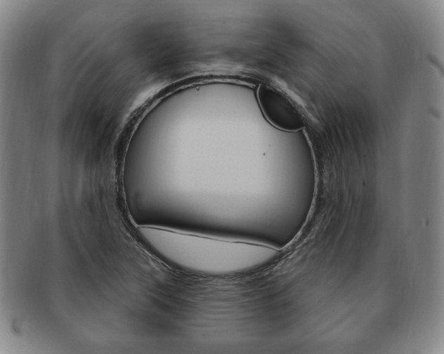 X0000091641315200708230939