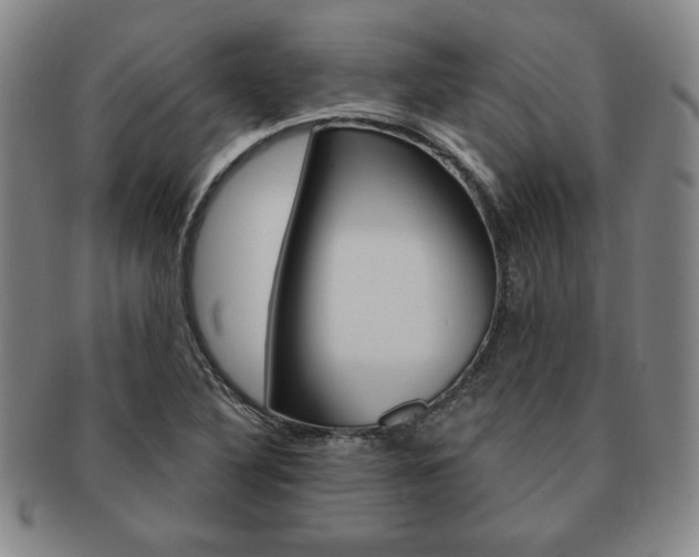 X0000091641316200708230939