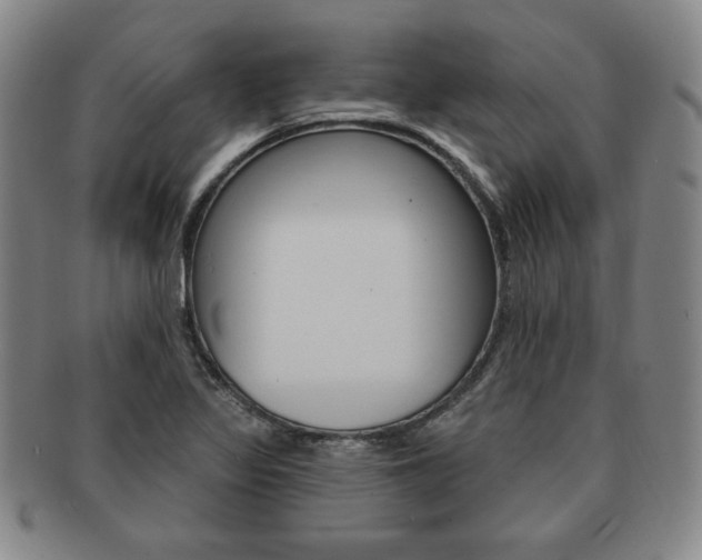 X0000091641317200708230939
