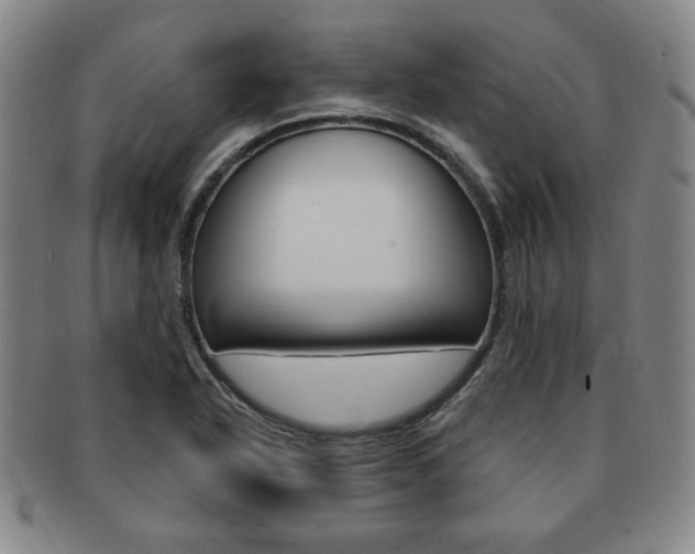 X0000091641318200708230939
