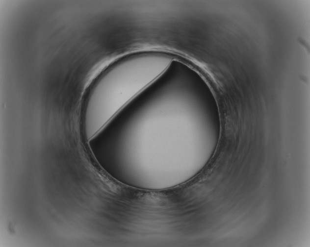 X0000091641319200708230939