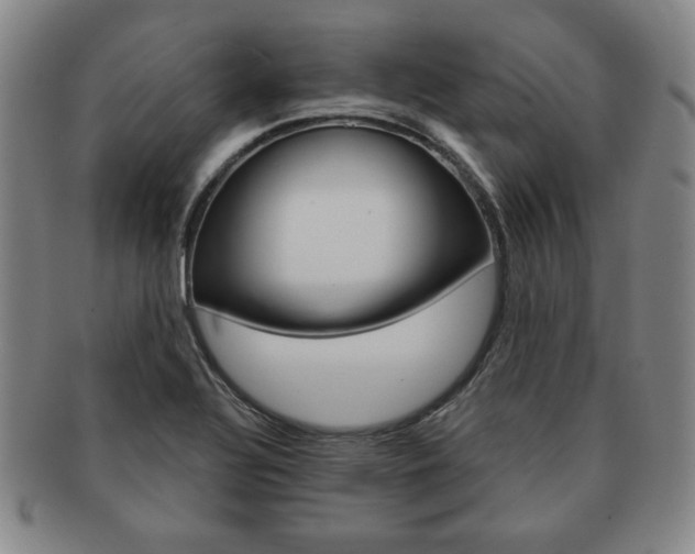 X0000091641320200708230939