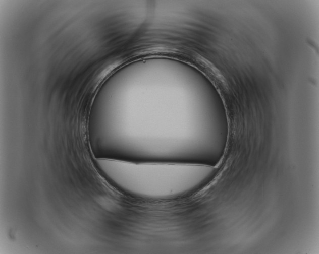 X0000091641321200708230939