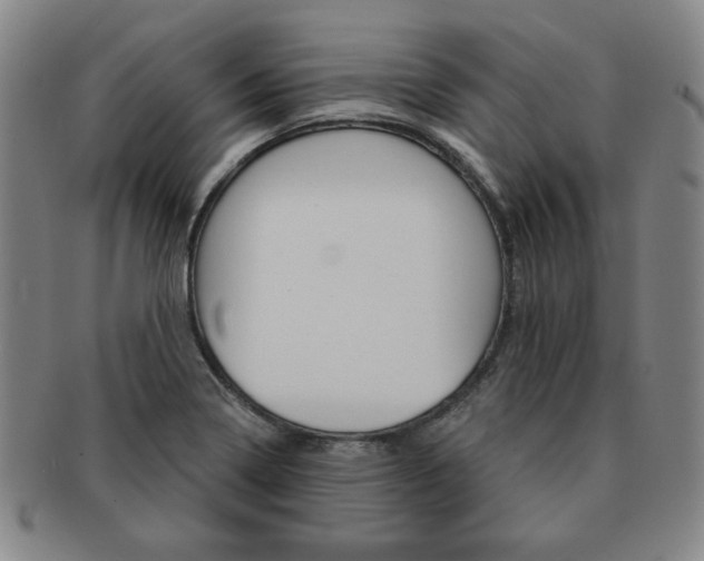 X0000091641322200708230939