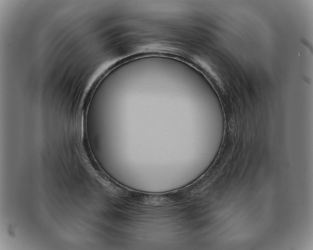 X0000091641323200708230939