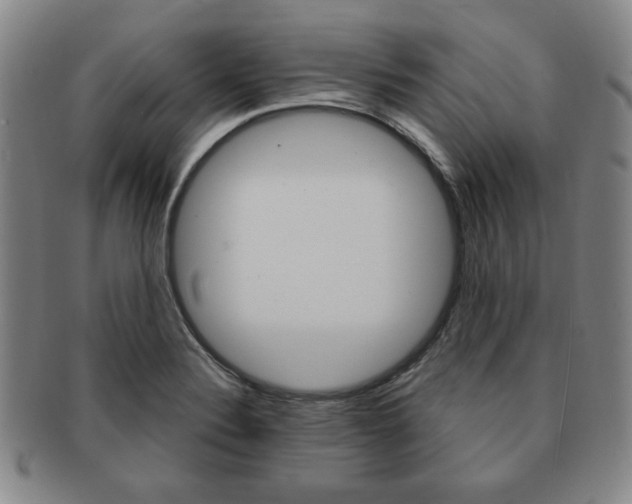X0000091641324200708230939