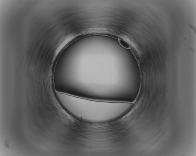 X0000091641325200708230939