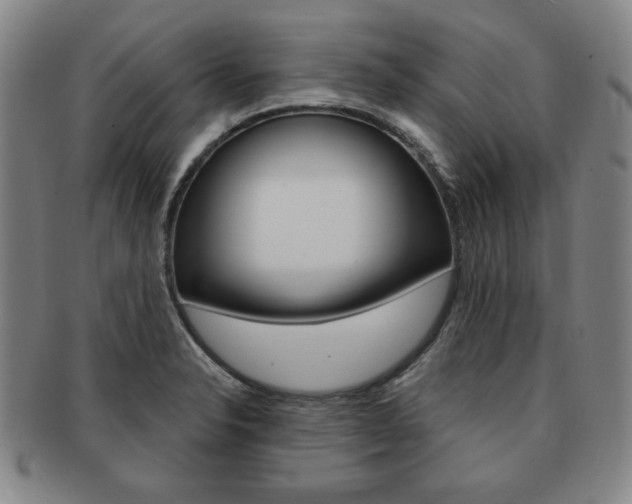 X0000091641326200708230939