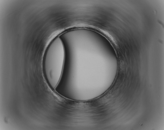 X0000091641327200708230939