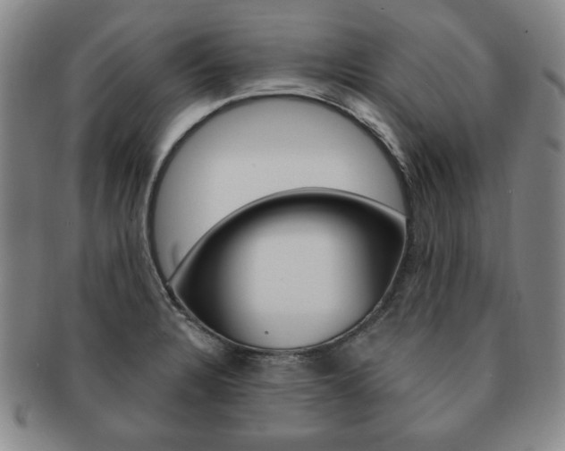 X0000091641328200708230939