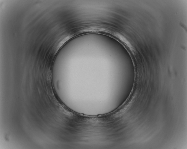 X0000091641329200708230939